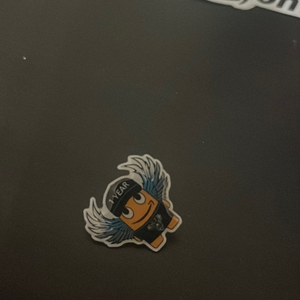 Amazon peccy pin 1 year